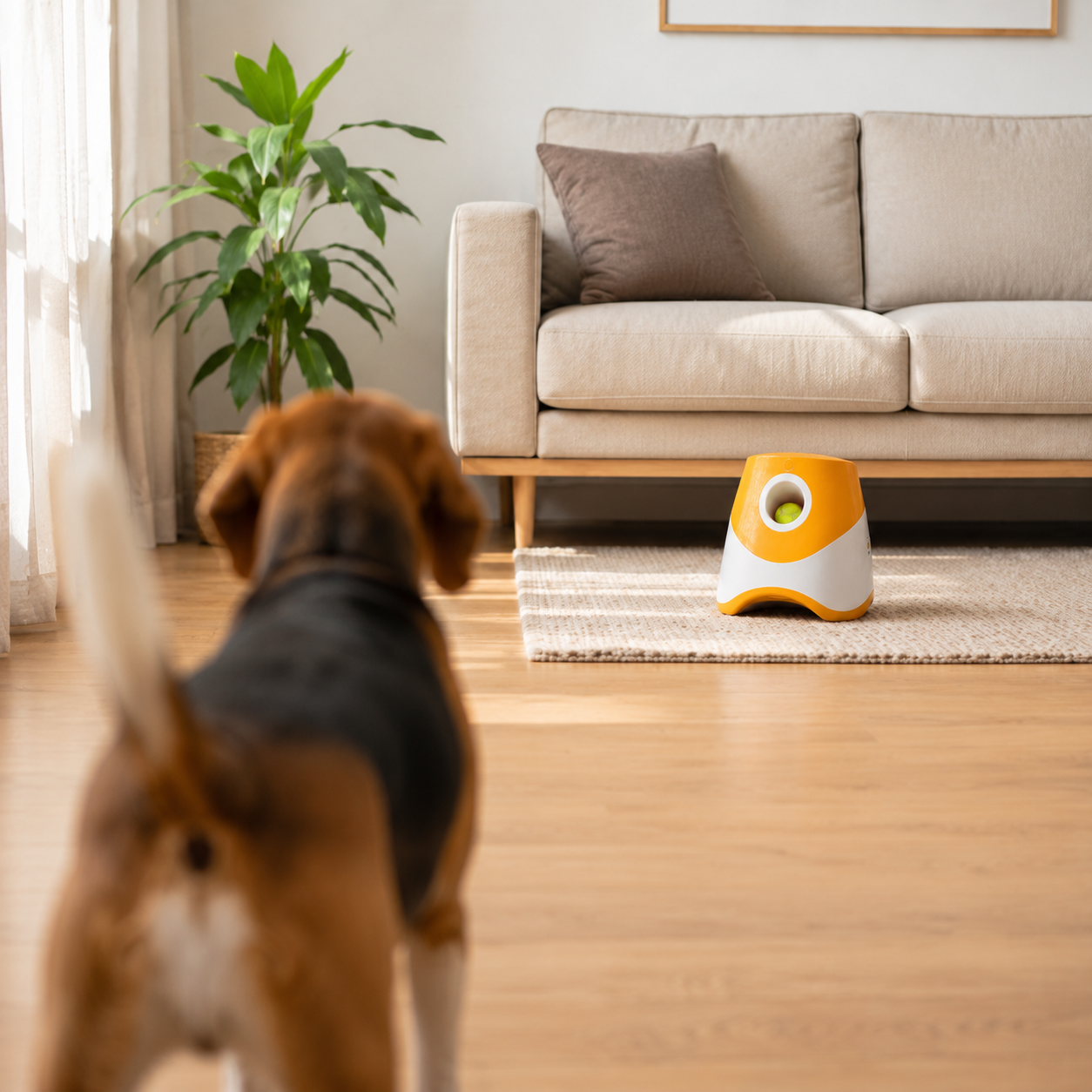 BallBot™ | Lancia Palline Automatico per Cani