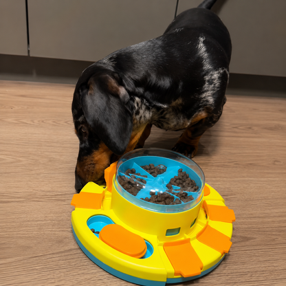 SniffiBox™ | Gioco Interattivo a Cassettini per Cani
