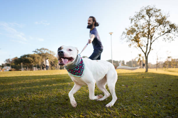files/ragazzo_cane.jpg